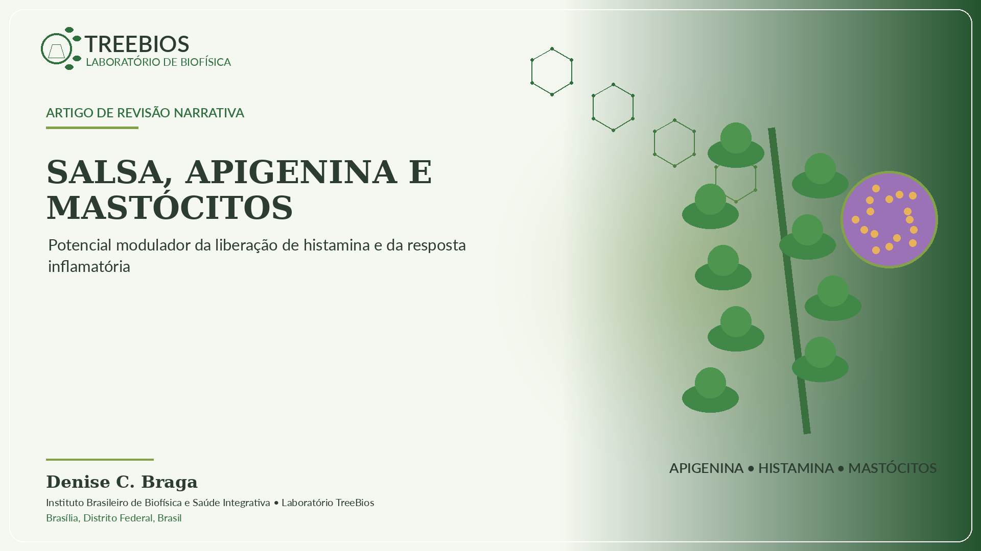 Capa do artigo Salsa, apigenina e mastócitos