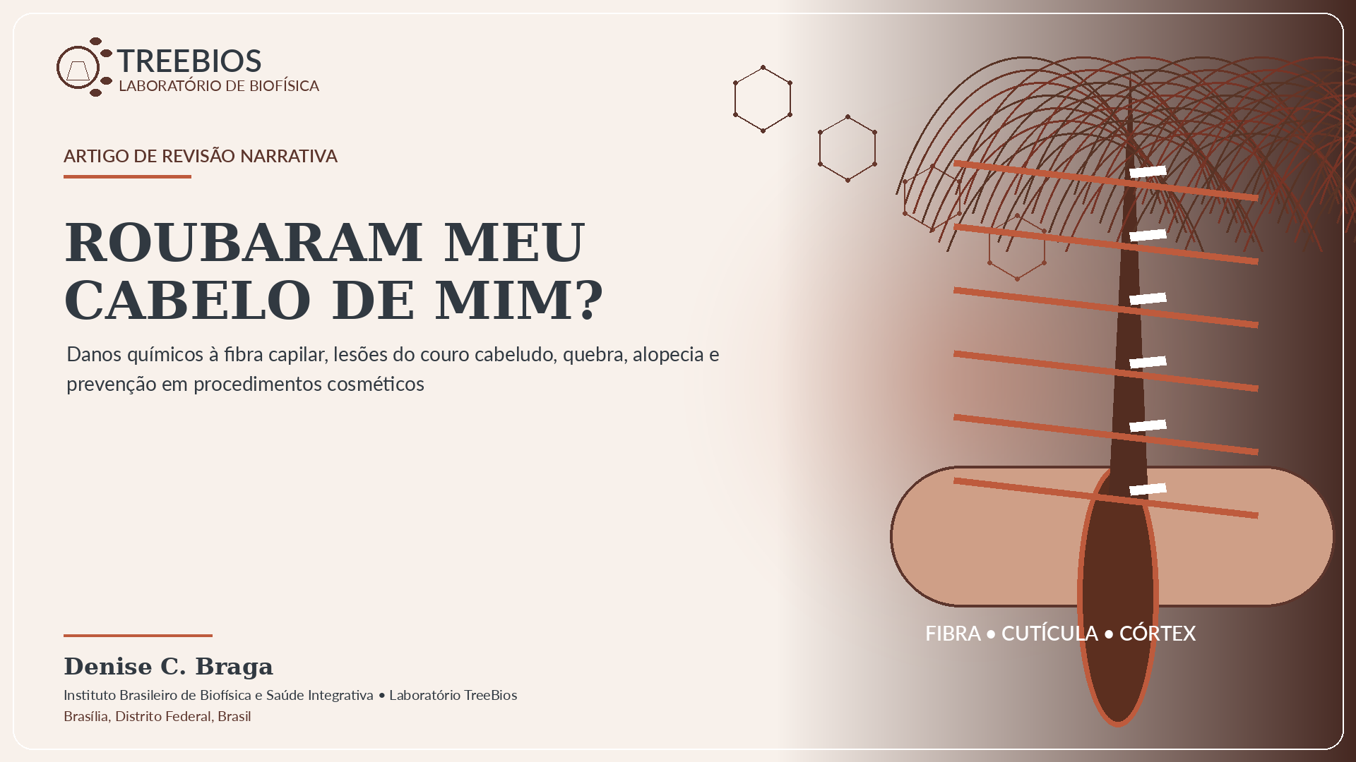 Capa do artigo Roubaram meu cabelo de mim?